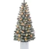 Wholesale 🌟 Puleo International Set of 2 5 ft Pre-Lit Potted Flocked Western Spruce Trees 🌟 -Wonderly Shop Belk 1381