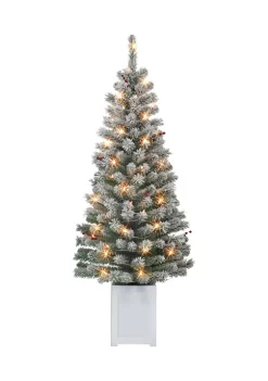 Wholesale 🌟 Puleo International Set of 2 5 ft Pre-Lit Potted Flocked Western Spruce Trees 🌟 -Wonderly Shop Belk 1384