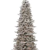 Cheap ✔️ Puleo International Pre-lit Flocked Slim Royal Majestic Douglas Fir Downswept Tree 🎁 -Wonderly Shop Belk 1401