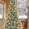 Cheapest ✔️ Puleo International 7.5-Foot Capetown Pine Blue/Green 🎅 Christmas Tree 🌟