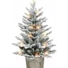 Promo 🌟 Puleo International Battery-Operated Potted Flocked Tree with 50 Warm White LED Light 💯 -Wonderly Shop Belk 1456
