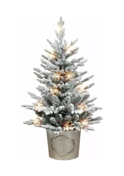 Promo 🌟 Puleo International Battery-Operated Potted Flocked Tree with 50 Warm White LED Light 💯