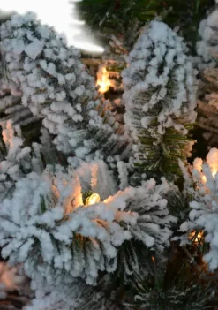 Flash Sale ❤️ Puleo International Pre-Lit 6-Foot Flocked Vermont Pine 🎄 Christmas 👏 -Wonderly Shop Belk 1491