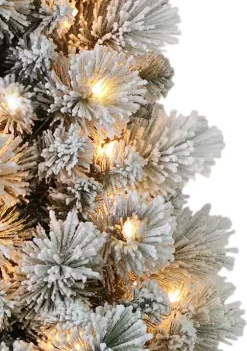 Best Pirce ⌛ Puleo International 4.5 Foot Pre-Lit Flocked Patagonia Pine Pencil Artificial 🎁 Christmas Tree with 100 UL- Listed Clear Lights 🎁 -Wonderly Shop Belk 1502