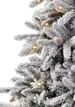 Best deal ⭐ Puleo International 6.5 Foot Pre Lit Flocked ‎Birmingham Fir Artificial 🎁 Christmas Tree with 350 UL Listed Lights 🥰 -Wonderly Shop Belk 1527