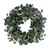 Deals ⭐ Puleo International 24 Inch Artificial Eucalyptus Floral Spring Wreath 🥰
