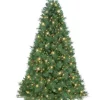 Deals 🤩 Puleo International Pre-Lit 🔔 Christmas Tradition Pine Tree ✔️ -Wonderly Shop Belk 1568