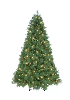 Deals 🤩 Puleo International Pre-Lit 🔔 Christmas Tradition Pine Tree ✔️ -Wonderly Shop Belk 1571