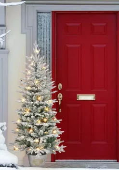 Best reviews of 😍 Puleo International Pre-lit PE/PVC Flocked Tree ❤️ -Wonderly Shop Belk 1590