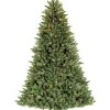 Brand new 🛒 Puleo International 4.5 Foot Pre Lit Franklin Fir Pencil Artificial 🎄 Christmas Tree 150 UL-Listed Clear Lights 😉 -Wonderly Shop Belk 1624