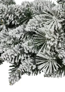 Budget ⭐ Puleo International 2-Foot Flocked Spruce Wreath 🤩 -Wonderly Shop Belk 1629