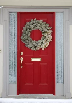 Budget ⭐ Puleo International 2-Foot Flocked Spruce Wreath 🤩 -Wonderly Shop Belk 1630