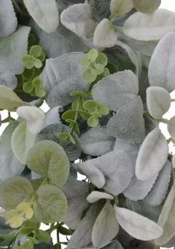 Promo ✔️ Puleo International 22 Inch Lambs Ear Wreath ⌛ -Wonderly Shop Belk 1665