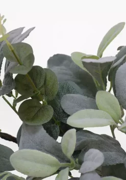 Buy 🤩 Puleo International 6 ft x 10 in Lambs Ear Garland ⭐ -Wonderly Shop Belk 1714