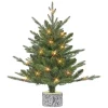 Coupon ⌛ Puleo International 2 ft Battery-Operated PE/PVC Potted Tree ⌛ -Wonderly Shop Belk 1727