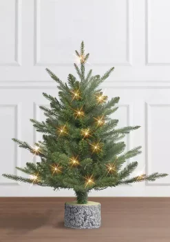 Coupon ⌛ Puleo International 2 ft Battery-Operated PE/PVC Potted Tree ⌛ -Wonderly Shop Belk 1729