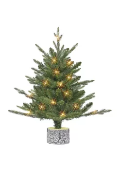 Coupon ⌛ Puleo International 2 ft Battery-Operated PE/PVC Potted Tree ⌛ -Wonderly Shop Belk 1730