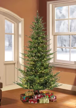 Promo 🔥 Puleo International Pre-Lit 6.5-Foot Edmonton Fir 🎄 Christmas Tree 🎉 -Wonderly Shop Belk 1734