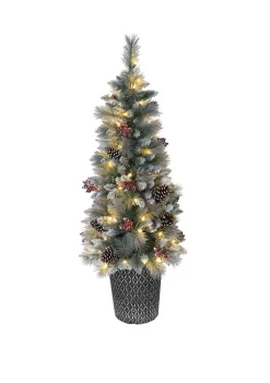 Deals 😍 Puleo International 4.5 Foot Pre-Lit Potted Sterling Pine Tree with 70 UL-Listed Clear Lights ⭐ -Wonderly Shop Belk 1746