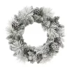 Flash Sale ✔️ Puleo International 24 in Flocked Berkshire Spruce Wreath 🎁 -Wonderly Shop Belk 1747