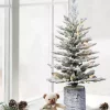 Best reviews of 😉 Puleo International Pre-Lit 3-Foot Potted Flocked Scandinavian Fir Tree 🧨 -Wonderly Shop Belk 1764