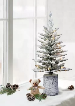 Best reviews of 😉 Puleo International Pre-Lit 3-Foot Potted Flocked Scandinavian Fir Tree 🧨
