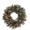 Best Sale ❤️ Puleo International 24 Inch Prelit Premium Decorated Wreath with 50 Clear Incandescent Lights 💯