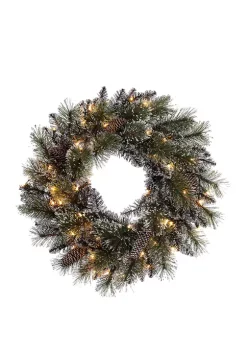 Best Sale ❤️ Puleo International 24 Inch Prelit Premium Decorated Wreath with 50 Clear Incandescent Lights 💯