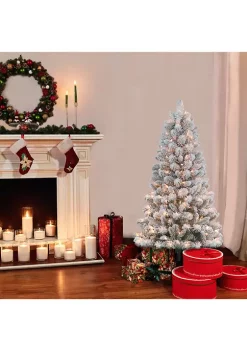 Top 10 🎁 Puleo International 🎄 Christmas Tree 😉 -Wonderly Shop Belk 1778