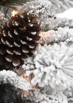 Best reviews of 🤩 Puleo International Pre-Lit 3-Foot Flocked 🎁 Christmas Tree with Rattan Basket Base 💯 -Wonderly Shop Belk 1784