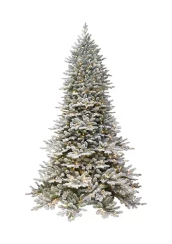 Best Pirce 😍 Puleo International Pre-lit Flocked Royal Majestic Douglas Fir Downswept Tree ❤️ -Wonderly Shop Belk 1826