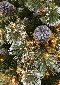 Deals 🎁 Puleo International Pre-Lit Springfield Fir with Cashmere Tips 😉 -Wonderly Shop Belk 1832