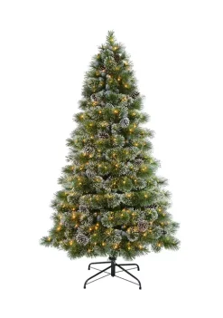 Deals 🎁 Puleo International Pre-Lit Springfield Fir with Cashmere Tips 😉 -Wonderly Shop Belk 1834