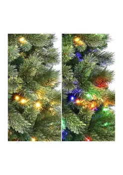New 🌟 Puleo International Pre-Lit Montana Pine Tree 🤩 -Wonderly Shop Belk 1849