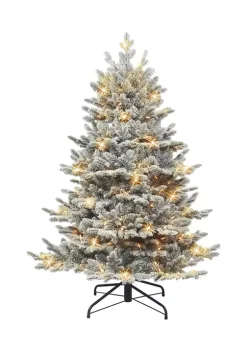 Best Pirce 😍 Puleo International Pre-lit Flocked Royal Majestic Douglas Fir Downswept Tree 🌟 -Wonderly Shop Belk 1878