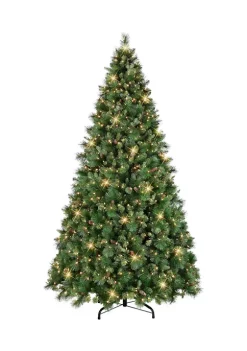 Best reviews of 🎁 Puleo International Pre-Lit 🎁 Christmas Tradition Pine Tree ❤️