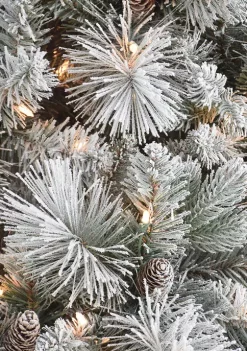 Coupon 👏 Puleo International Pre-Lit Flocked 🎅 Christmas Tradition Pine Tree 🤩 -Wonderly Shop Belk 1906