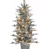 Buy 👍 Puleo International Pre-lit PE/PVC Flocked Tree 🥰 -Wonderly Shop Belk 1909