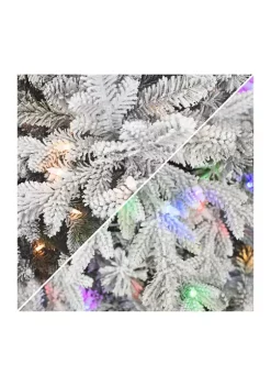 Cheap 🤩 Puleo International Pre-lit Flocked Royal Majestic Douglas Fir Downswept Tree 🥰 -Wonderly Shop Belk 1949