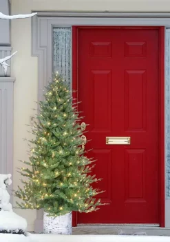 Flash Sale 👍 Puleo International PE/PVC Potted Tree 😍 -Wonderly Shop Belk 1955