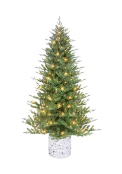 Flash Sale 👍 Puleo International PE/PVC Potted Tree 😍 -Wonderly Shop Belk 1956