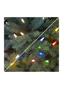 Brand new 🛒 Puleo International Pre-lit Royal Majestic Douglas Fir Downswept Tree 🧨 -Wonderly Shop Belk 1981