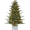 New 🤩 Puleo International PE/PVC Potted Tree with 150 Clear Lights 🧨 -Wonderly Shop Belk 1985