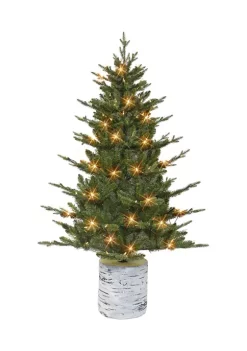 New 🤩 Puleo International PE/PVC Potted Tree with 150 Clear Lights 🧨