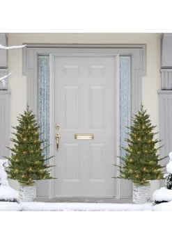 New 🤩 Puleo International PE/PVC Potted Tree with 150 Clear Lights 🧨 -Wonderly Shop Belk 1987