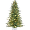 Buy 🌟 Puleo International PE/PVC Potted Tree with 450 UL Clear Incandescent Lights 🎉 -Wonderly Shop Belk 1989