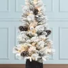 Flash Sale 🎁 Puleo International Pre-lit Flocked Potted Tree ❤️ -Wonderly Shop Belk 2004