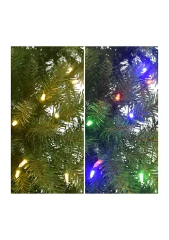 Top 10 🌟 Puleo International Pre-lit Slim Fraser Fir Tree 👏 -Wonderly Shop Belk 2021