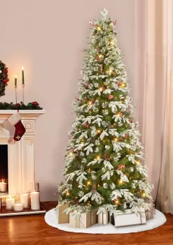 Best reviews of 🎁 Puleo International Pre-Lit Slim Glittery Tree with Pine Cones & Berries 🛒 -Wonderly Shop Belk 2027