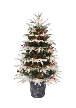 Best Pirce 🌟 Puleo International Pre-lit Potted Flocked Halifax Fir Tree 🌟 -Wonderly Shop Belk 2036